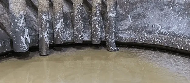纸张漂白